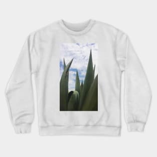 Agave Clouds Crewneck Sweatshirt